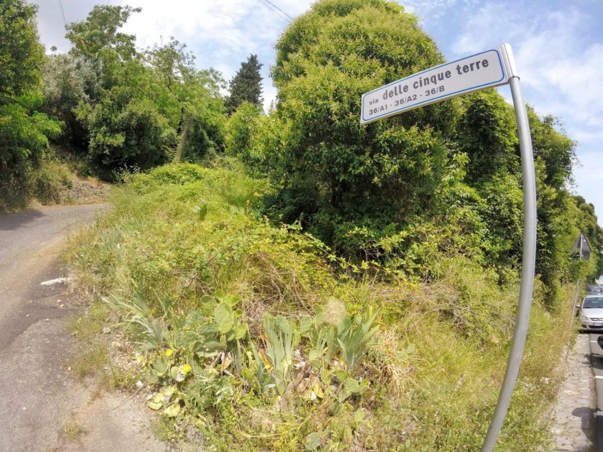 Villa Grazia La Spezia Exteriér fotografie